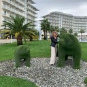 ���������� �����, ���� ������� ��������, 47 ���, ������������ ��� ������, ����� � ���������, c�������� ���������, ���������