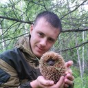 ���������� ���������, ���� ������� ����, 31 ���, ������������ ��� ������, ����� � ���������, c�������� ���������, ���������