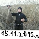 ���������� ���������, ���� ������� �������, 41 ���, ������������ ��� ������, ����� � ���������, c�������� ���������