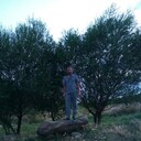 ���������� �������, ���� ������� ������, 47 ���, ������������ ��� ������, ����� � ���������