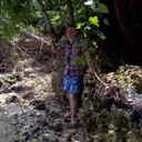 ���������� �����, ���� ������� �������, 37 ���, ������������ ��� ������, ����� � ���������, c�������� ���������