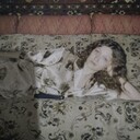  ,   , 40 ,   ,   , c , 