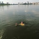 ���������� ���������, ���� ������� ����, 28 ���, ������������ ��� ������, ����� � ���������, c�������� ���������