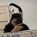  ,   Ilshatgis, 24 ,   ,   , 