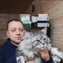 ���������� ���������, ���� ������� ����, 42 ����, ������������ ��� ������, ����� � ���������, c�������� ���������