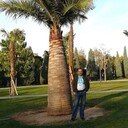  ,   , 50 ,   ,   , c 