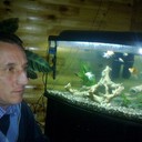 -,   , 55 ,   ,   , c 