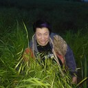  ,   , 61 ,   c , 