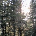 ���������� �������, ���� ������� �������, 27 ���, ������������ ��� ������, ����� � ���������, c�������� ���������, ���������