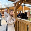 ���������� ����, ���� ������� Al�sa, 39 ���, ������������ ��� ������, ����� � ���������, c�������� ���������