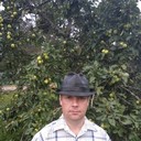  -,   , 46 ,   ,   , c 