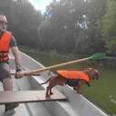  ,   , 29 ,   ,   , c , 