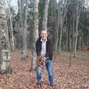  -,   , 35 ,   ,   