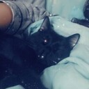 ���������� ������������, ���� ������� �����, 40 ���, ������������ 