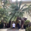 ���������� ����������, ���� ������� ������, 40 ���, ������������ ��� ������, ����� � ���������