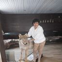 ���������� ������������, ���� ������� ������, 52 ����, ������������ ��� ������, ����� � ���������, c�������� ���������, ���������