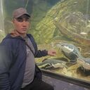 ���������� ������, ���� ������� ���������, 43 ����, ������������ ��� ������, ����� � ���������, c�������� ���������