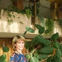 ���������� ����, ���� ������� �������, 51 ���, ������������ ��� ������, ����� � ���������, c�������� ���������