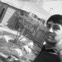 ���������� ����������, ���� ������� ����, 29 ���, ������������ ��� ������, ���������