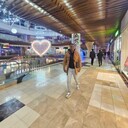 ���������� �����-���������, ���� ������� Alexander, 27 ���, ������������ ��� ������, ����� � ���������, c�������� ���������, ���������