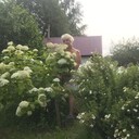  ,   , 59 ,   c 