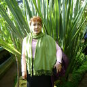  -,   , 65 ,   ,   , c , 