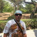   ,   , 62 ,   ,   