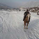 ���������� ������, ���� ������� �����, 41 ���, ������������ ��� ������, ����� � ���������, c�������� ���������