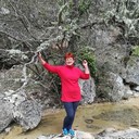  ,   , 62 ,     , c 