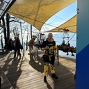 ���������� ������-��-����, ���� ����� ���������, 25 ���, ������������ ��� ������, ����� � ���������, ���������