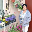  ,   , 55 ,   c 