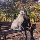  ,   , 33 ,     , c , 