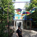  ,   , 41 ,   ,   , c 