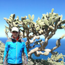 ���������� �������, ���� ������� ������, 45 ���, ������������ ��� ������, ����� � ���������