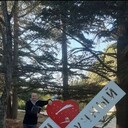 ���������� �����������, ���� ������� ������, 37 ���, ������������ ��� ����� � ���������, c�������� ���������, ���������