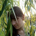 ���������� ������, ���� ������� �����, 38 ���, ������������ ��� ������, ����� � ���������, c�������� ���������