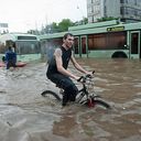 ���������� �����, ���� ������� ���������, 36 ���, ������������ ��� ������, ����� � ���������, c�������� ���������