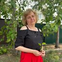  ,   , 50 ,   ,   , c , 