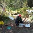 ���������� �����������, ���� ������� ��������, 41 ���, ������������ ��� ������, ����� � ���������, c�������� ���������, ���������