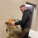 ���������� ������, ���� ������� �������, 38 ���, ������������ ��� ������, ����� � ���������, c�������� ���������, ���������