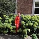  Sint-Truiden,   , 27 ,   c , 