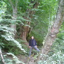 ���������� ������, ���� ������� Ikrom, 40 ���, ������������ ��� ������, ����� � ���������, c�������� ���������