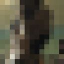 ���������� ������, ���� ����� �����, 23 ����, ������������ ��� ������, ����� � ���������