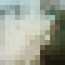 ���������� �����, ���� ����� ����, 24 ����, ������������ ��� ������, ����� � ���������