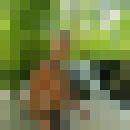  ,   , 29 ,   