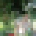  -,   , 40 ,   ,   , c 