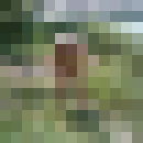  ,   , 50 ,   