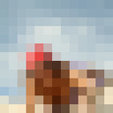  ,   , 54 ,   