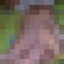 ���������� �����������, ���� ������� ����, 42 ����, ������������ ��� ����� � ���������, c�������� ���������