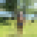  -,   , 61 ,   